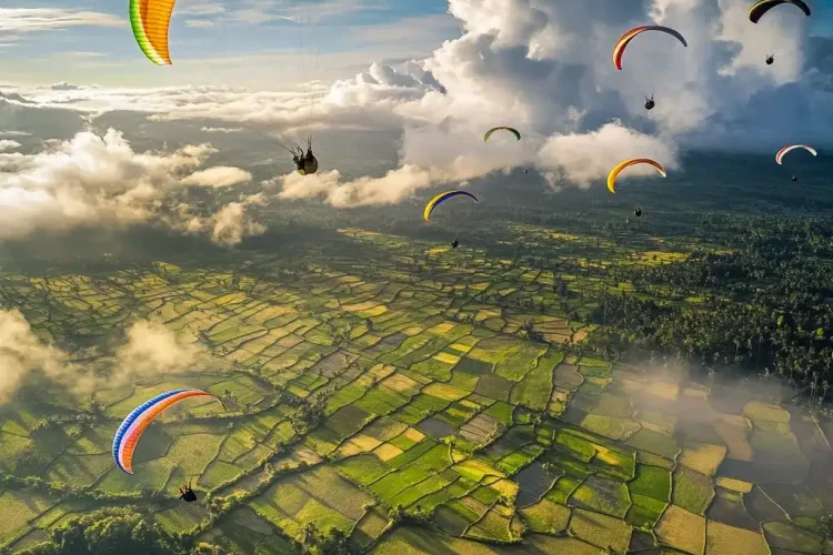 Bali Paragliders In The Sky