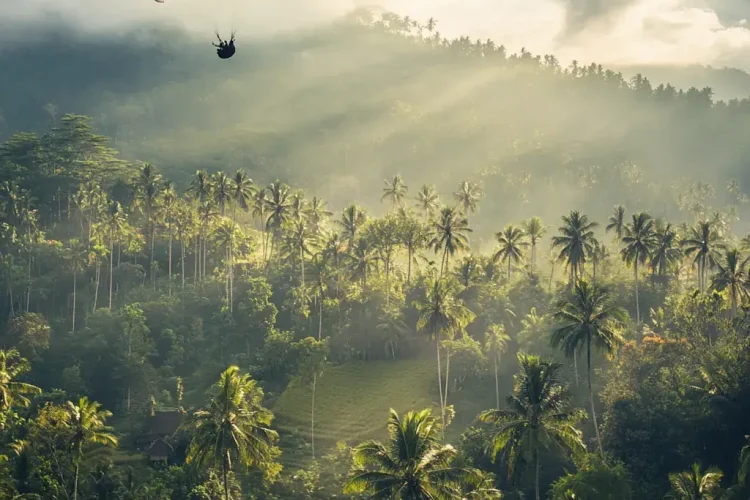 Bali Paragliding Green Forest
