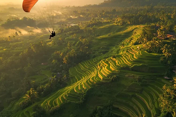 Bali Paraglidings Tabanan