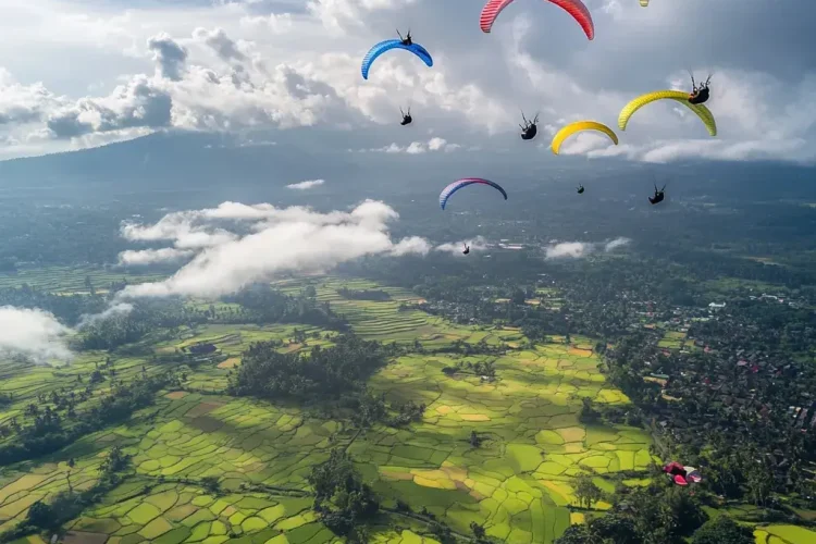 Bali Paraglidings Canggu Ricefield