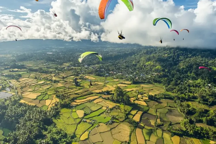 Bali Paraglidings Tabana Ricefield